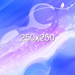banner 250x250